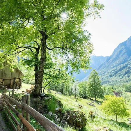 Alpine House Antonia Trenta