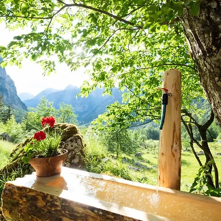 Alpine House Antonia Holiday home *