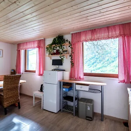 Holiday home Alpine House Antonia Trenta