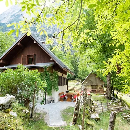 Holiday home Alpine House Antonia Trenta