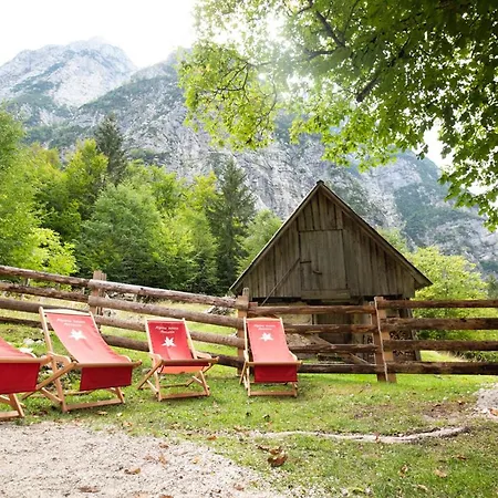 Alpine House Antonia Trenta