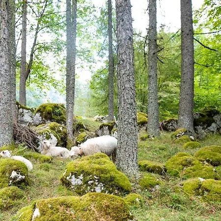 Alpine House Antonia Nyaraló Trenta