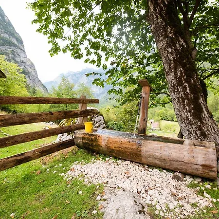 Alpine House Antonia
