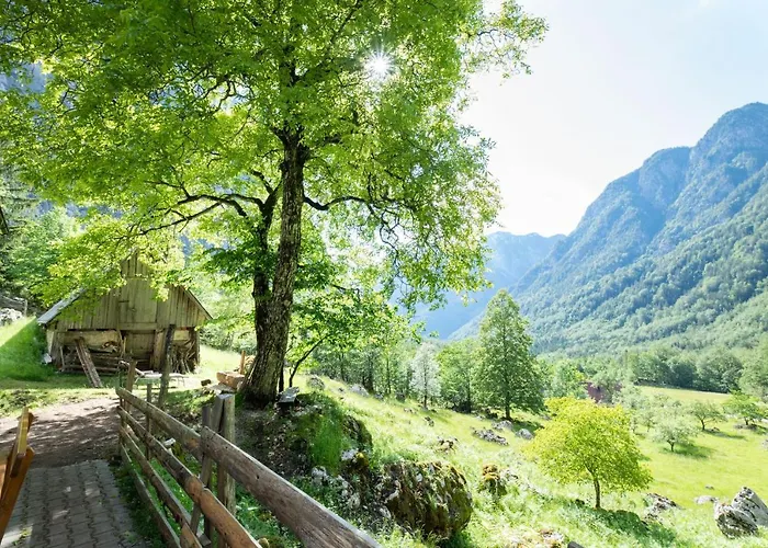 Alpine House Antonia Trenta