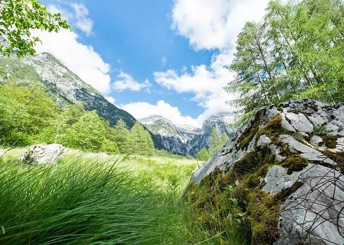 Casa vacanze Alpine House Antonia Trenta