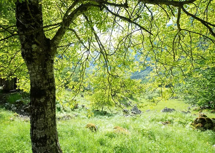 Alpine House Antonia Semesterbostad