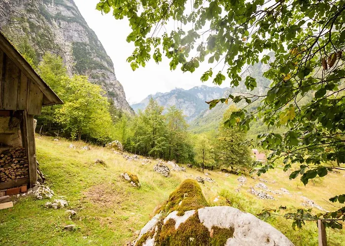 Alpine House Antonia