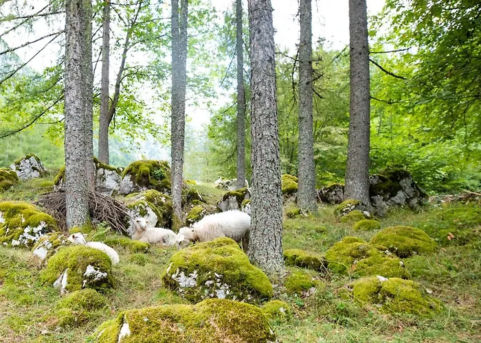Alpine House Antonia Prázdninový dům Trenta