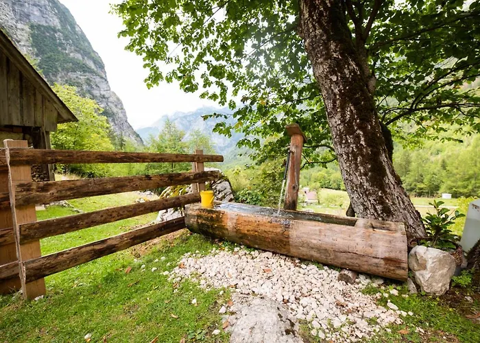 Alpine House Antonia